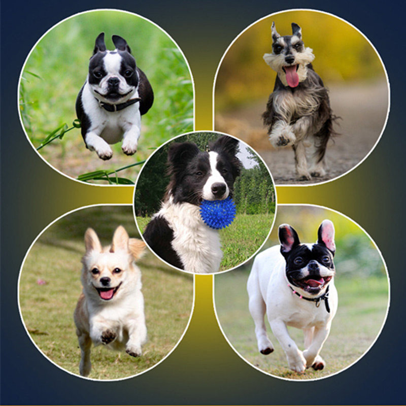 犬の破壊力を減らす方法