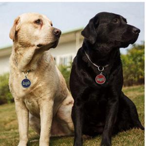 2018年の熱い販売の犬または猫彫刻やidタグqrコードペットタグ