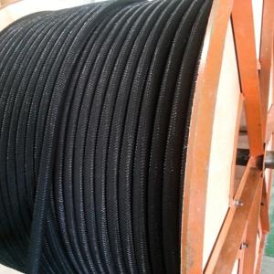 フレキシブル導電性高分子陽極