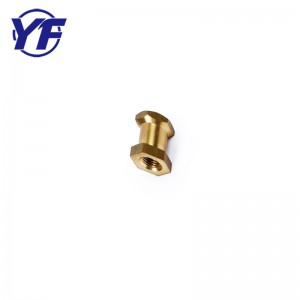 プロのカスタマイズされた真鍮は、中国から競争価格で供給業者を挿入します