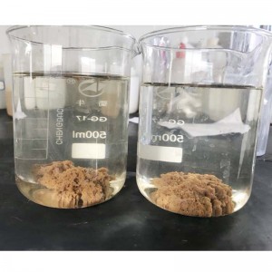 水処理用のアニオン性ポリアクリルアミド凝集剤の輸出