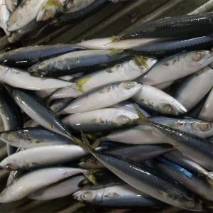 冷凍サバ