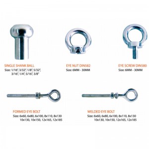 316鍛造DIN582リングナット