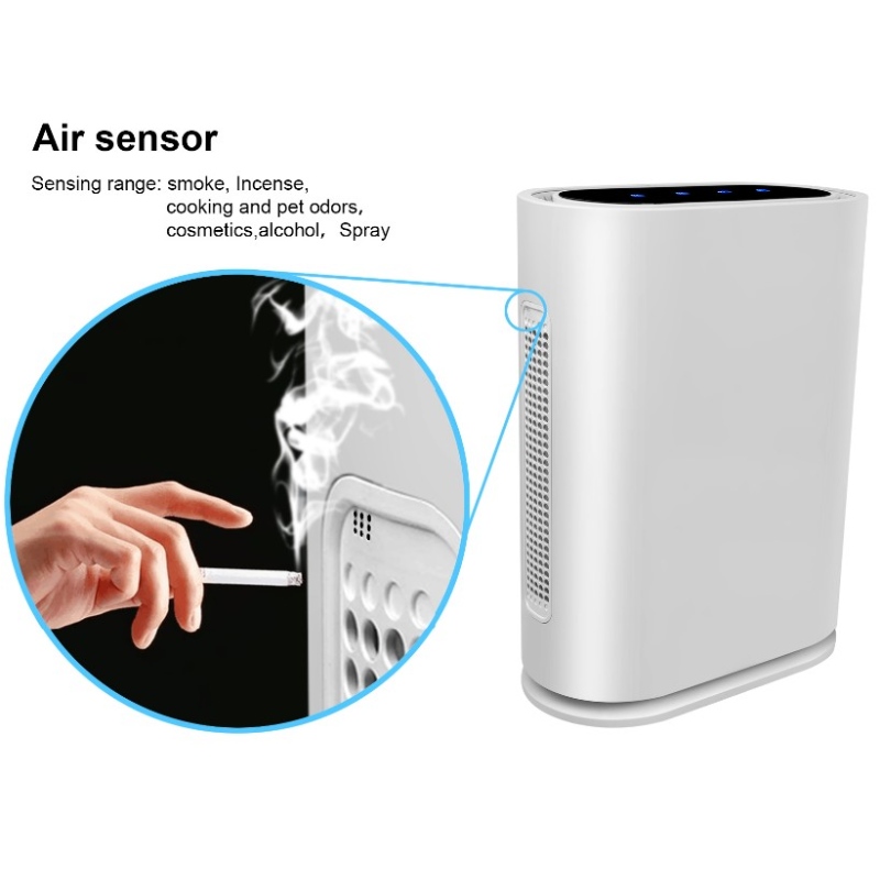 ほこりや煙のエアイオナイザークリーナーオゾン空気清浄機HEPAフィルター付き