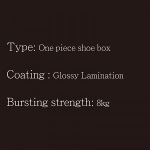 靴箱ワンピースタイプ4