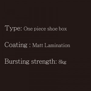 靴箱ワンピースタイプ5