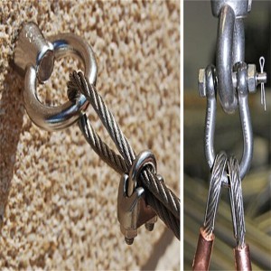 中国の製造元DIN580の持ち上がるステンレス鋼のアイボルト