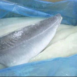 冷凍光の塩漬け大西洋セーテの切り身