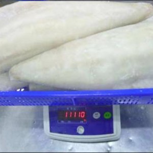 冷凍光の塩漬け大西洋セーテの切り身