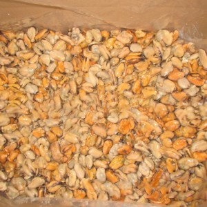 冷凍ムール貝の肉