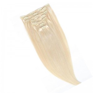 クリップインCROWN14