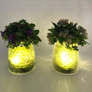 世界的な表示花瓶が付いているLEDのガラス卓上の装飾的な人工的な多肉植物