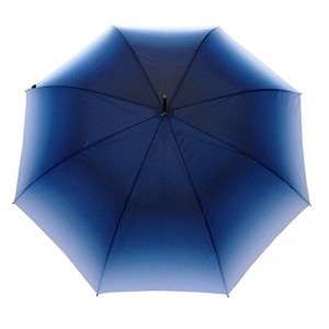 23インチ自動オープングラデーション生地カラーマーケティングストレート傘