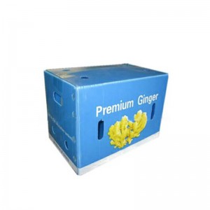 ジンジャーボックス