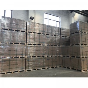 単結晶ソーラーモジュール