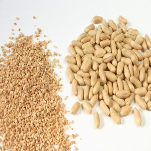 ピーナッツチョッパー/ピーナッツドライドチョッパー