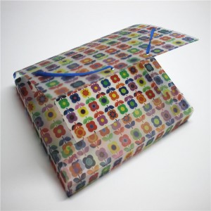 伸縮性があるPPのプラスチックファイル箱のホールダー