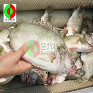 メロン果実洗浄機/メロン果実洗浄剥離機/メロン果実ブラシ洗浄剥離機QX-612 new