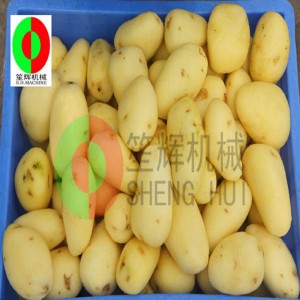 メロン果実洗浄機/メロン果実洗浄剥離機/メロン果実ブラシ洗浄剥離機QX-612 new