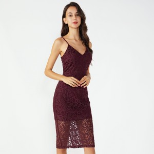 レース生地バロチ女性夜セクシーな透明ドレス