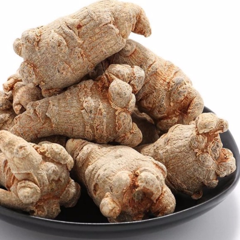 Panax notoginseng