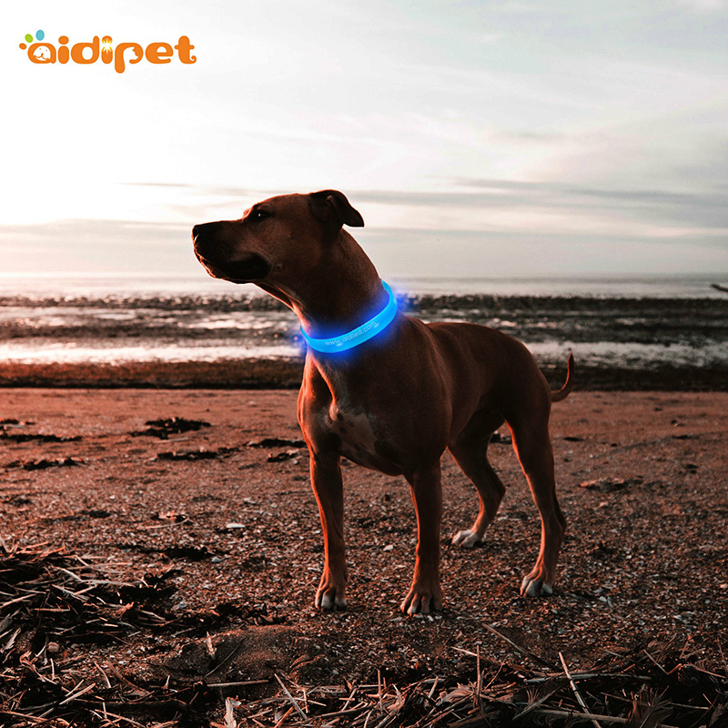 シリコーンが付いている防水USBの再充電つばは犬のつばを導きました