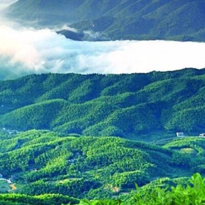 Lセット7250グラム200ティールティー湖南省anhua紅茶健康茶