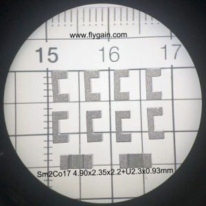中国工場の高品質の強力なマイクロ精密磁石