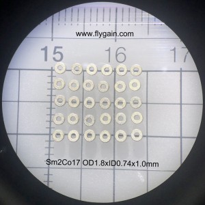 モーター用中国メーカーマイクロ精密小型マグネット
