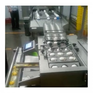 卵洗浄・乾燥・切断機