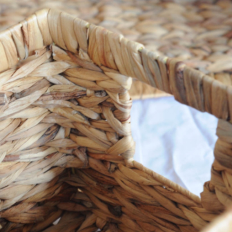 ホテイアオイバスケット