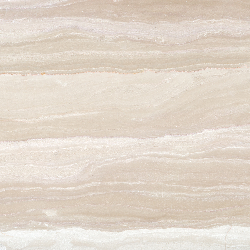 伊図安SERPEGGIANT N 6