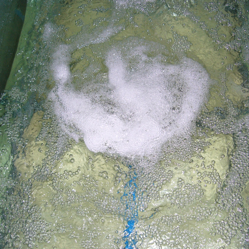 製糖工場廃水処理