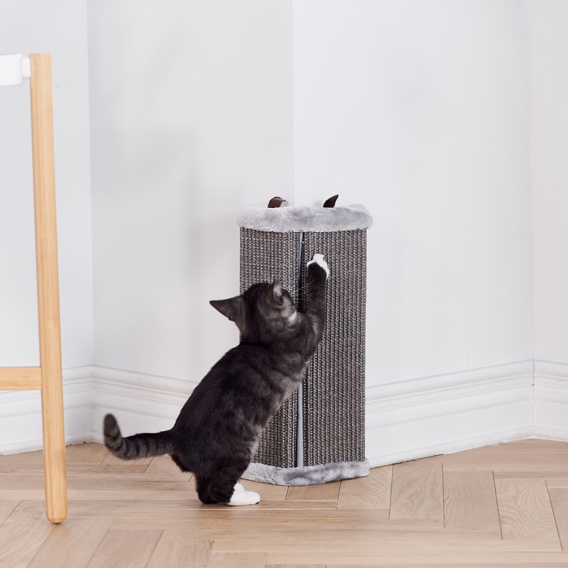 猫のスクラッチャー1