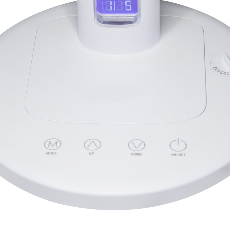 LED目保護ランプDT004