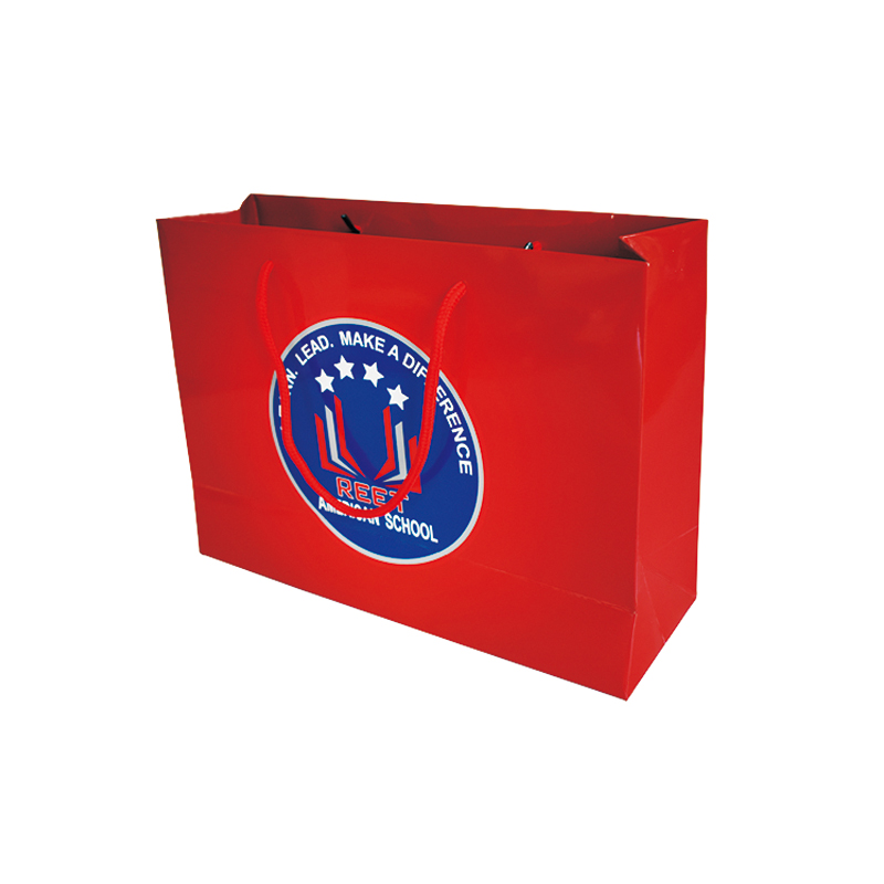 ショッピングバッグ001