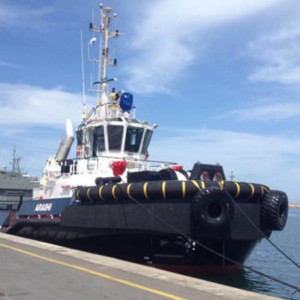 耐久性のある海洋ドック装置