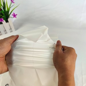 カスタム生分解性Composable小さなジッパーバッグ