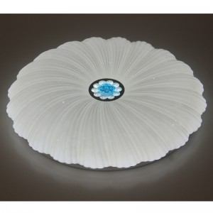 CX202シーリングライト