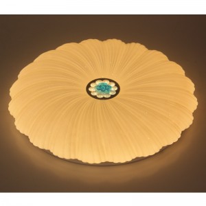 CX202シーリングライト