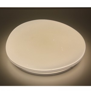 シーリングライト