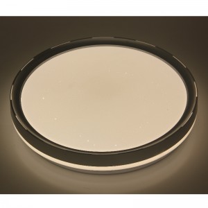 CX236シーリングライト