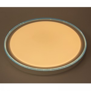 シーリングライト