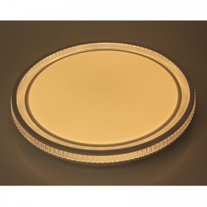 シーリングライト