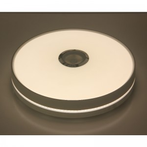 シーリングライト