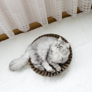 ひまわり紙の猫の傷のネスト