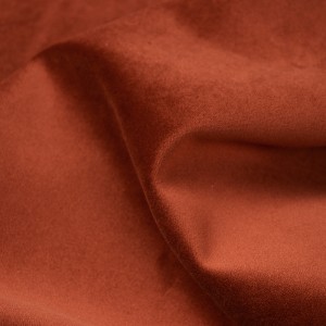 ベルベットBNT1929