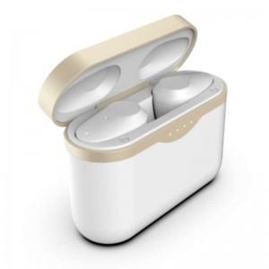 FB-BEGFL1ハイエンドTWSイヤホンANC機能