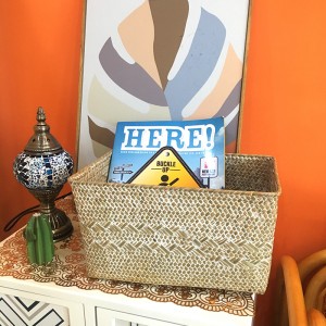 海藻収納ボックス