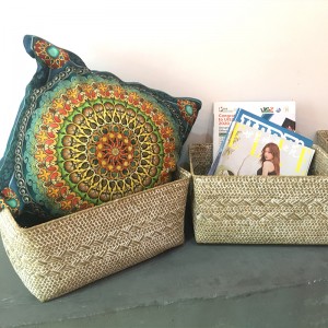 海藻収納ボックス